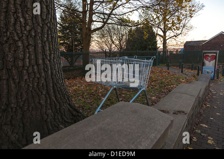 Einkaufswagen geworfen außerhalb vorstädtischen Parks. Stockfoto