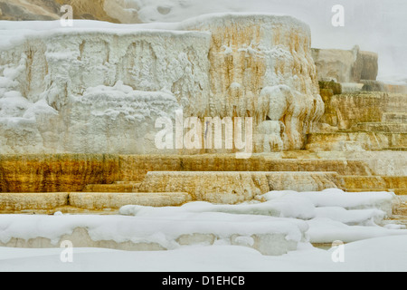 Travertin-Terrassen auf der Palette Spring, Yellowstone-Nationalpark, Wyoming, USA Stockfoto