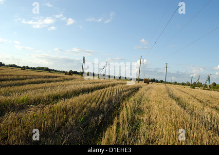 Strohballen in geernteten Agrarbereich Strommasten und Herbst bewölktem Himmel Stockfoto