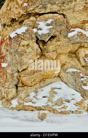 Liberty Cap - Detail des Kegels Travertin produziert von heißen Quellen, Yellowstone-Nationalpark, Wyoming, USA Stockfoto