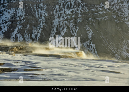 Dampf und Schnee oberhalb Kanarischen Frühling, Yellowstone-Nationalpark, Wyoming, USA Stockfoto