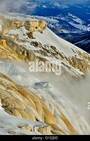 Dampf und Schnee auf den Kanarischen Frühling, Yellowstone-Nationalpark, Wyoming, USA Stockfoto