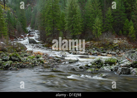 Alter Mann Creek Eingabe des Lochsa Flusses in Idaho. Stockfoto