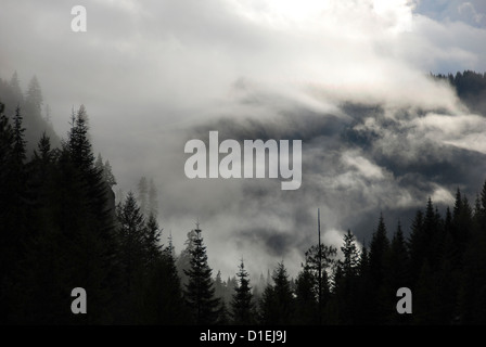 Wolken in der Lochsa-River-Canyon, Idaho. Stockfoto