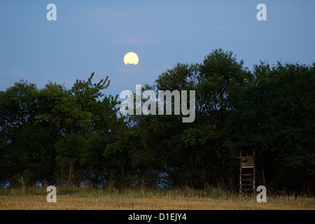 Mond über ländlichen Landschaft mit Hochsitz, Bayern, Deutschland Stockfoto