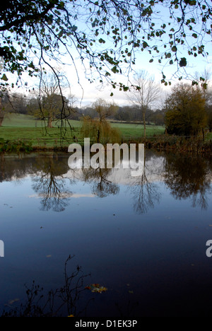 Blick auf Teich mit Bäumen Mitte Landschaft Sussex, UK Stockfoto