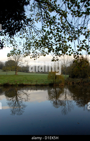 Blick auf Teich mit Bäumen Mitte Landschaft Sussex, UK Stockfoto