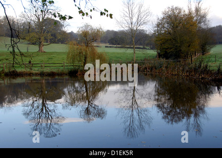 Blick auf Teich mit Bäumen Mitte Landschaft Sussex, UK Stockfoto
