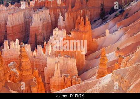 Ein Post Sonnenaufgang Blick auf Bryce Canyon, berühmt für seine einzigartige Geologie im Rahmen des Paunsaugunt Plateaus. Stockfoto