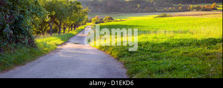 Eine konkrete Feldweg in der warmen Abendsonne zu linken Apfelgarten, Beckingen, Saarland / Deutschland, Panorama XXL Stockfoto