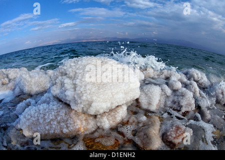 Salzkristall-Formationen im Toten Meer, Israel Stockfoto