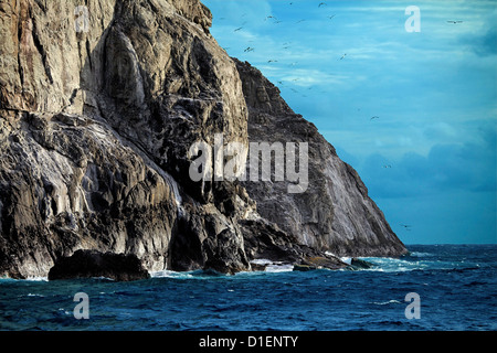 Felsen-Insel Malpelo im Pazifischen Ozean, Columbia Stockfoto