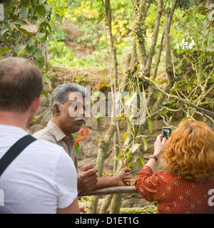 Quadratische Porträt eines indischen Guides zeigen, westliche Touristen um eine Gewürzplantage in Indien. Stockfoto