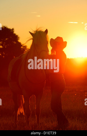 Junge Frau mit Pferd auf der Wiese bei Gegenlicht Stockfoto