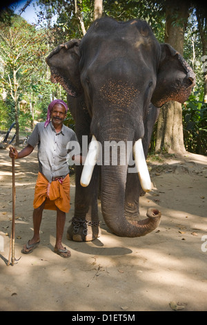 Vertikale Porträt des indischen Elefanten und seinen Mahout stehend in den Dschungel. Stockfoto