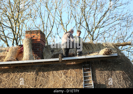 Meister Thatchers arbeiten auf einer Hütte in St Mary Bourne Hampshire Stockfoto
