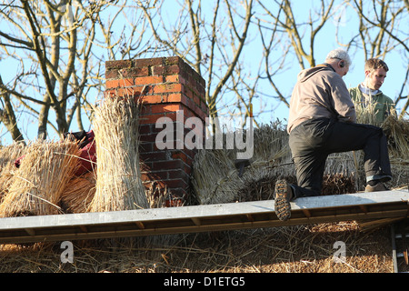 Meister Thatchers arbeiten auf einer Hütte in St Mary Bourne Hampshire Stockfoto