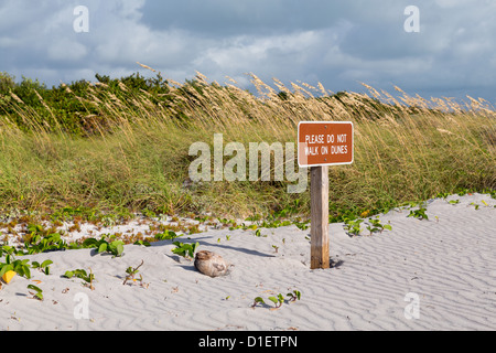 Bitte gehen Sie nicht auf Dünen Zeichen am Strand im Staatspark Key Biscayne Florida Stockfoto