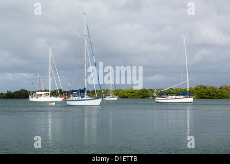 Yachten und Boote vertäut im Hafen von No Name in Bill Baggs Cape Florida State Park Key Biscayne Miami Stockfoto