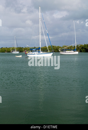 Yachten und Boote vertäut im Hafen von No Name in Bill Baggs Cape Florida State Park Key Biscayne Miami Stockfoto