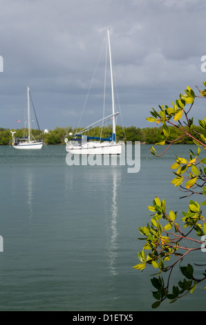 Yachten und Boote vertäut im Hafen von No Name in Bill Baggs Cape Florida State Park Key Biscayne Miami Stockfoto