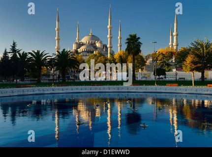 Blaue Moschee in frühen Morgensonne mit Reflexion in Brunnen Istanbul Türkei Stockfoto