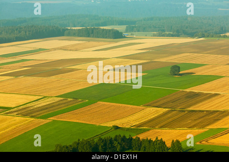 Feld-Landschaft in Oberschwaben, Baden-Württemberg, Germanyaerial Foto Stockfoto