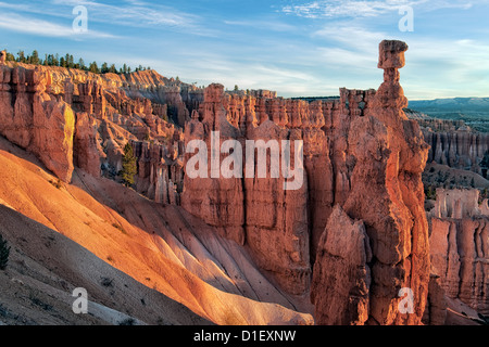 Reflektierende erste Licht erhellt die Hoodoos von Utah Bryce Canyon Nationalpark einschließlich der ikonischen Thors Hammer. Stockfoto