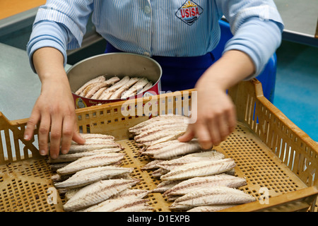 Usisa Konserven Fabrik Isla Cristina Huelva Andalusien Spanien Stockfoto