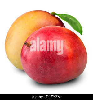 Mango-Frucht auf weißem Hintergrund Stockfoto