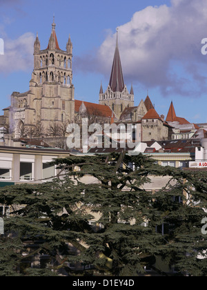 Altstadt und Kathedrale von Lausanne, Schweiz Stockfoto