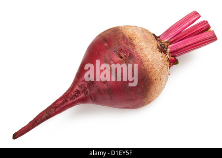 Frische rote Beete auf weißem Hintergrund Stockfoto