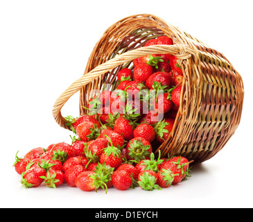 frische Erdbeeren in einem Korb auf einem weißen Hintergrund Stockfoto