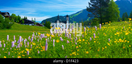 Seekirchl mit Wilde Blume Wiese, Seefeld, Tirol, Österreich Stockfoto