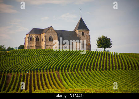 Weinberge der Champagne, Reihen von Weinstöcken mit Kirche und einsamer Baum am Horizont. Stockfoto