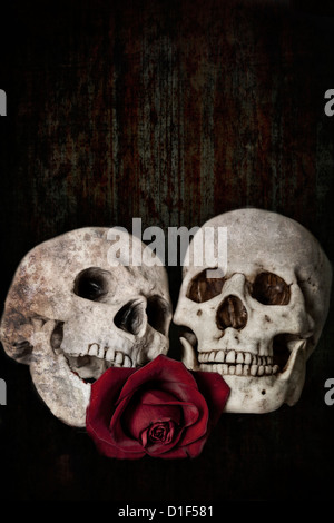 zwei Schädel, für immer verbunden in der ewigen Liebe, mit einer roten rose Stockfoto