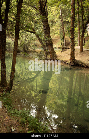 Fontibre, Fluss Ebro, Hermandad de Campoo de Suso, Kantabrien, Spanien, Europa Stockfoto