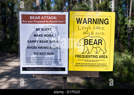 Informationen und Regeln zu unterzeichnen, über Bären auf einem Rundweg um Leigh Lake - Grand Teton Nationalpark, Wyoming, USA Stockfoto