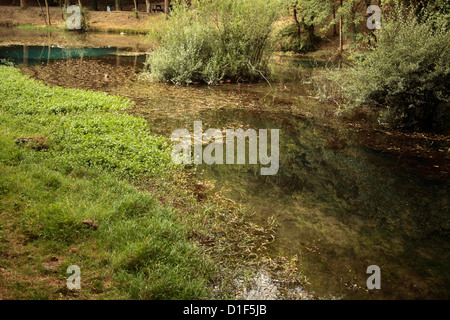 Fontibre, Fluss Ebro, Hermandad de Campoo de Suso, Kantabrien, Spanien, Europa Stockfoto