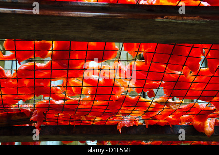 Trockenfleisch ist durch das Licht der Sonne, Thai-Küche erhalten. Fotografie-Ant-Vogelperspektive. Stockfoto