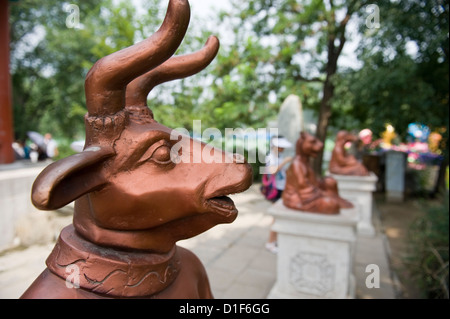 Bronze-Chinesisches Sternzeichen Ochse Stockfoto