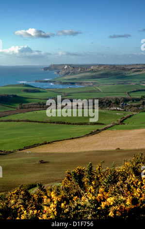 Blick vom Swyre Head, auf der Suche nach Westen, Overlooking Kimmeridge Bay und Smedmore House, Isle of Purbeck im Winter Januar 2005 Stockfoto