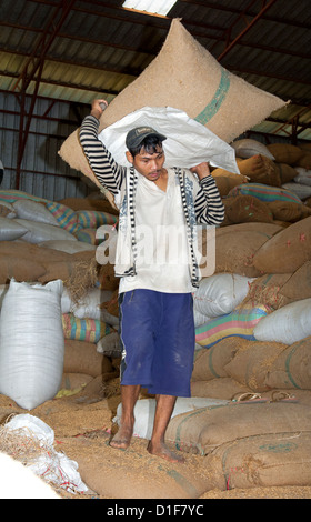 Arbeiter, die Verlagerung von Reis Taschen in ein Reis-Lager, Battambang, Kambodscha Stockfoto