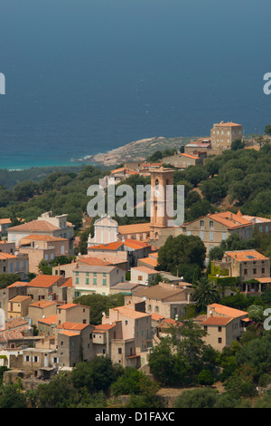 Einen erhöhten Blick auf das malerische Dorf Aregno in der Binnenschifffahrt Haute Balagne Region, Korsika, Frankreich, Mittelmeer, Europa Stockfoto