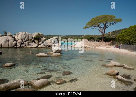 Palombaggia Strand in der Nähe von Porto-Vecchio, Korsika, Frankreich, Mittelmeer, Europa Stockfoto