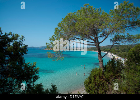 Einen erhöhten Blick auf Palombaggia Strand in der Nähe von Porto-Vecchio, Korsika, Frankreich, Mittelmeer, Europa Stockfoto