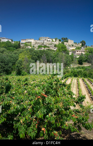 Manerbes, Petit Luberon, Provence, Frankreich, Europa Stockfoto