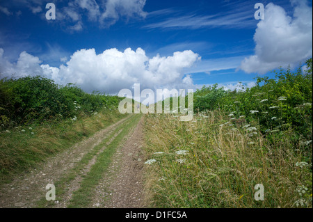 Die South Downs Way, Hampshire, England, Vereinigtes Königreich, Europa Stockfoto