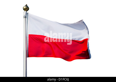 Polnische Flagge Stockfoto