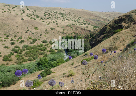 Blick auf Fluss Jordan aus dem gebirgigen Jordan River Trail. Oberen Galiläa, Israel, Nahost Stockfoto